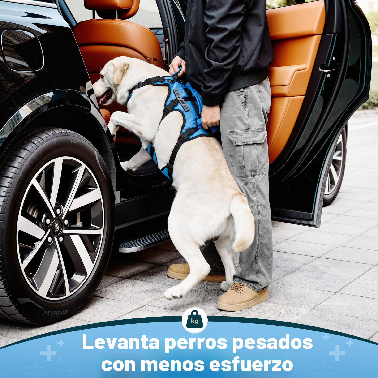 arnés Elevador para Perros medianos, arnés de Soporte Corporal Completo con 3 Asas y Correa para Hombro, Ayuda de Movilidad para Perros Mayores con Artritis, escaleras, Azul, M
