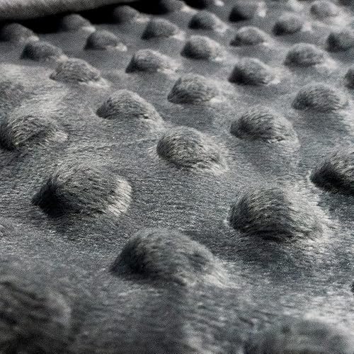 Miniatura 5 de ALANSMA - Manta con peso reversible para todas las estaciones, abrigada y fresca, tela minky de terciopelo de lujo, para disfrutar dormir en