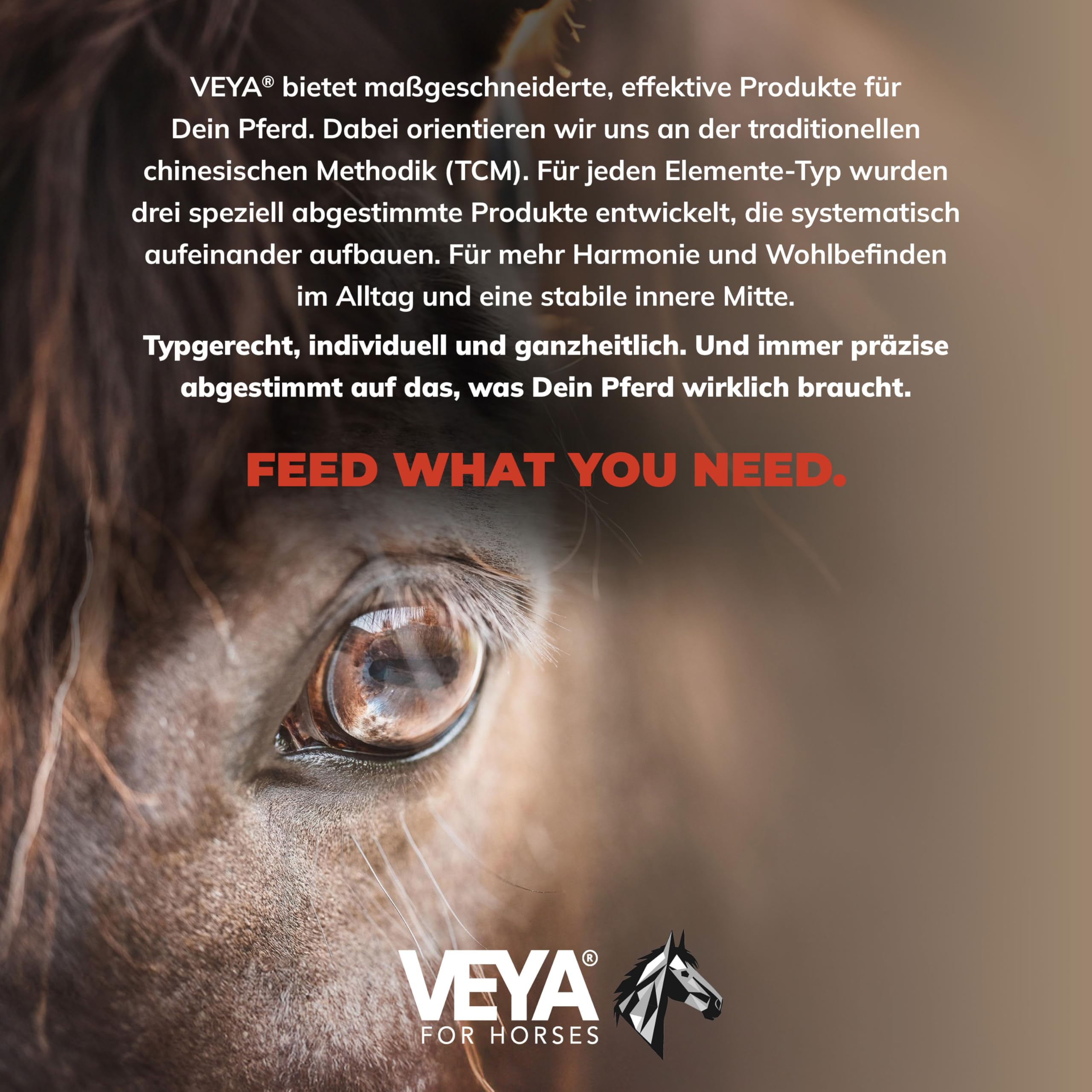 VEYA® by STRÖH Erde-TYP 2 Stoffwechsel & Entgiftung Liquid Pferde (1L) • Stoffwechsel Kräutersaft für Leber & Nieren • Mit Mariendistel & Artischocke • Für Erde-Typ Pferd • Made in Germany