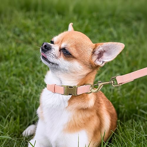 Miniatura 3 de Didog Collar de perro de cuero suave, duradero y resistente con hebilla de metal de liberación rápida, collar de perro rosa ajustable para perros