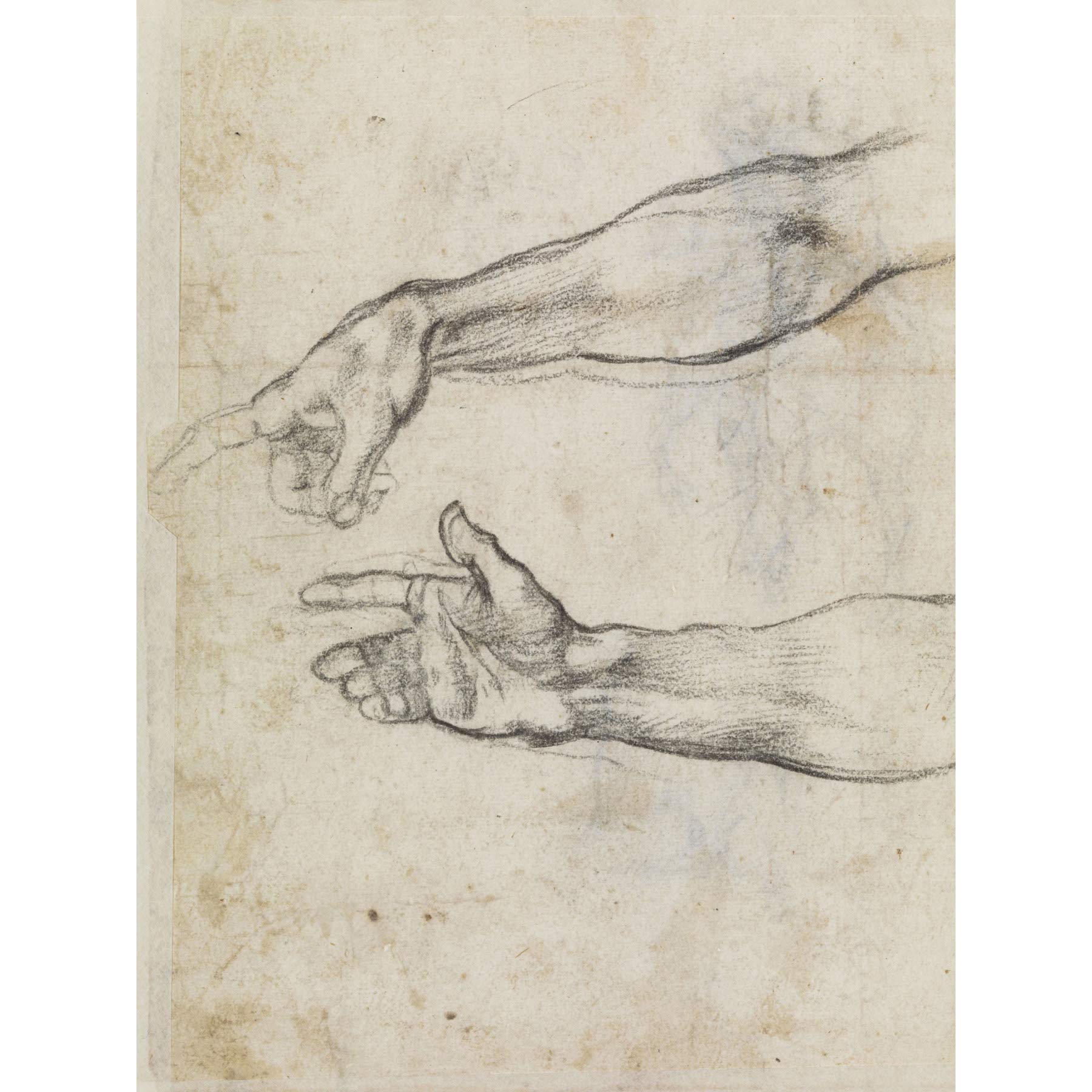 Michelangelo Fresco Noah Sistine Chapel Sketch Large Wall Art Poster Print Thick Paper 18X24 Inch