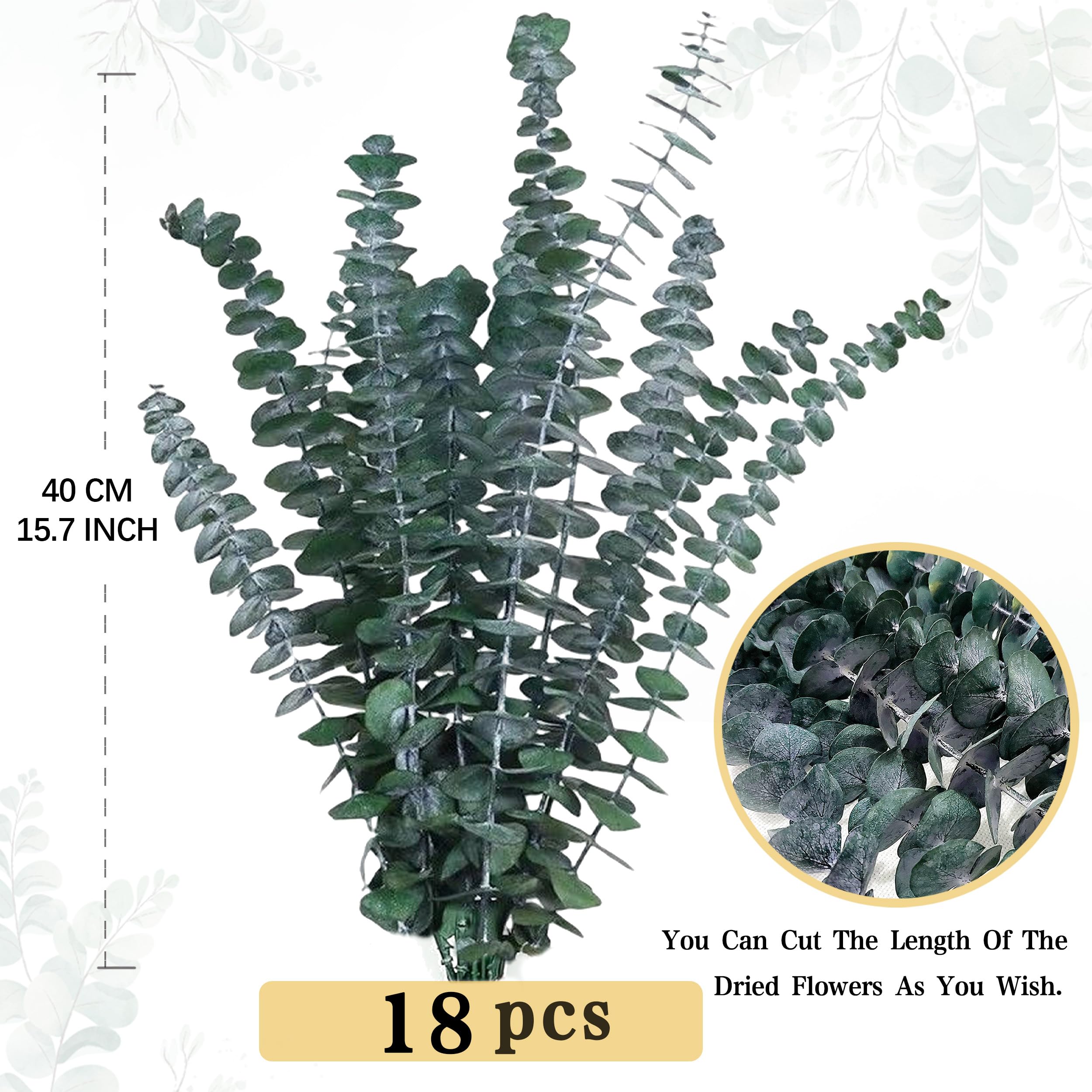 ZJTAPE Dried Eucalyptus, 18 Pcs Natural Dried Flowers, Real Eucalyptus Everlasting Dried Flowers - Image 2