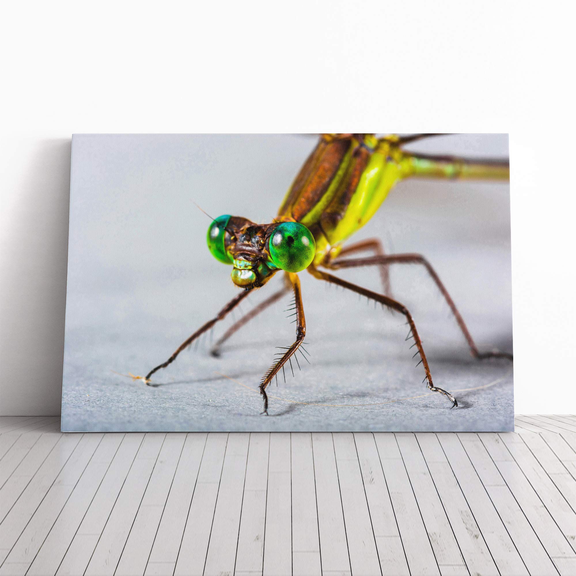 Dragonfly Insect (2) Canvas Print | Gallery Wrapped 30mm Frame Wall Art | 20x14 inches | Ready to Hang | Modern Animals Picture | Living Room Bedroom Lounge Office
