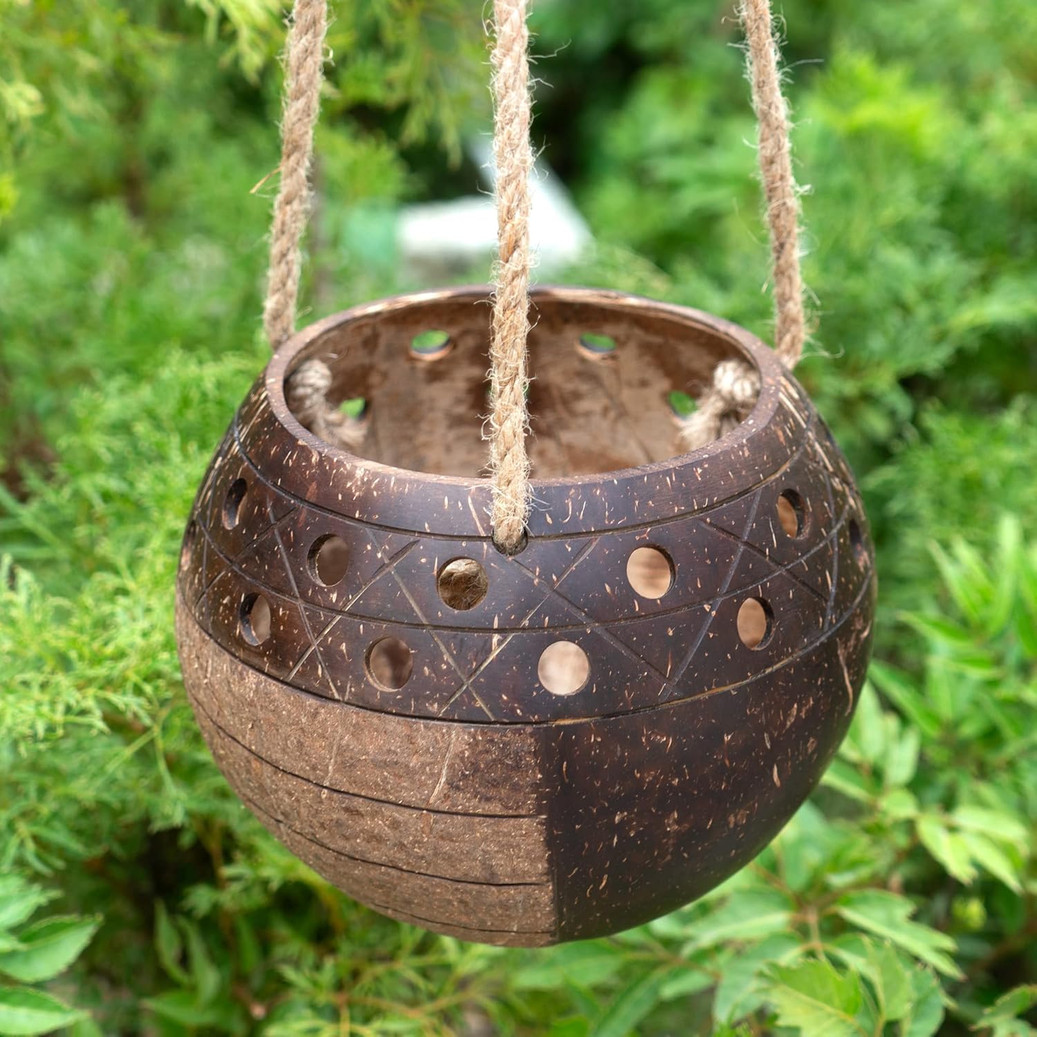 Rainforest Bowls Set of 2 Hanging Stripes Coconut Planters w/Drainage Hole- Perfect for Succulents, Flowers, Small Plants, Indoor & Outdoor Gardens- Handcarved by Artisans, Eco-Friendly & Sustainable