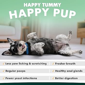 Amazon.co.jp: 犬用 プロバイオティック 消化器ケア