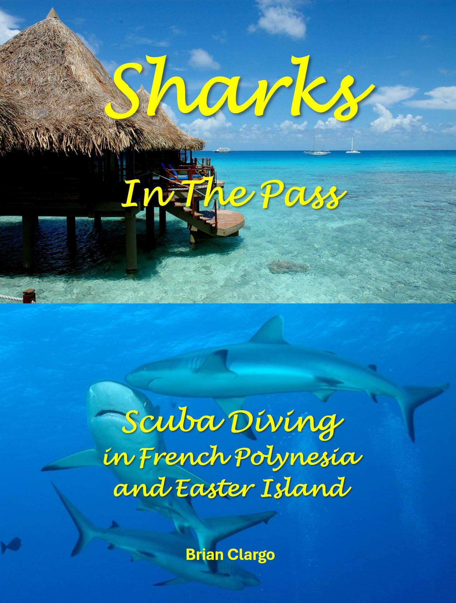 Scuba Diving in French Polynesia Sharks In The Pass Easter Island book