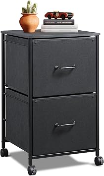 Filing Cabinet 2 Drawer Mobile Printer Stand for Home Office, Rolling Fabric Vertical File Cabinet, Fits A4 or Letter Size, Black