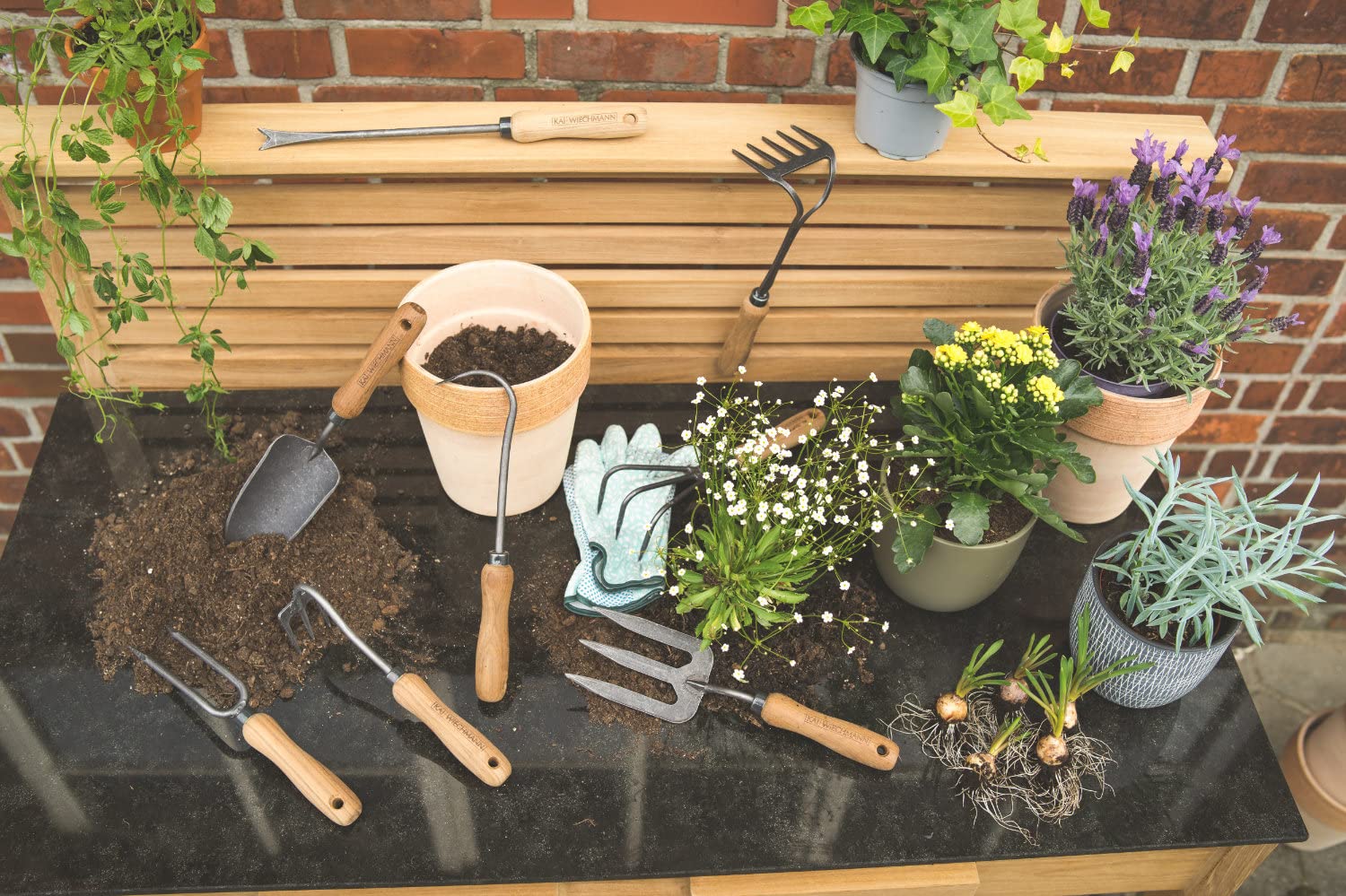 Teak Handharke Blumen Harke Kralle geschmiedet mit Teakholz Griff Premium