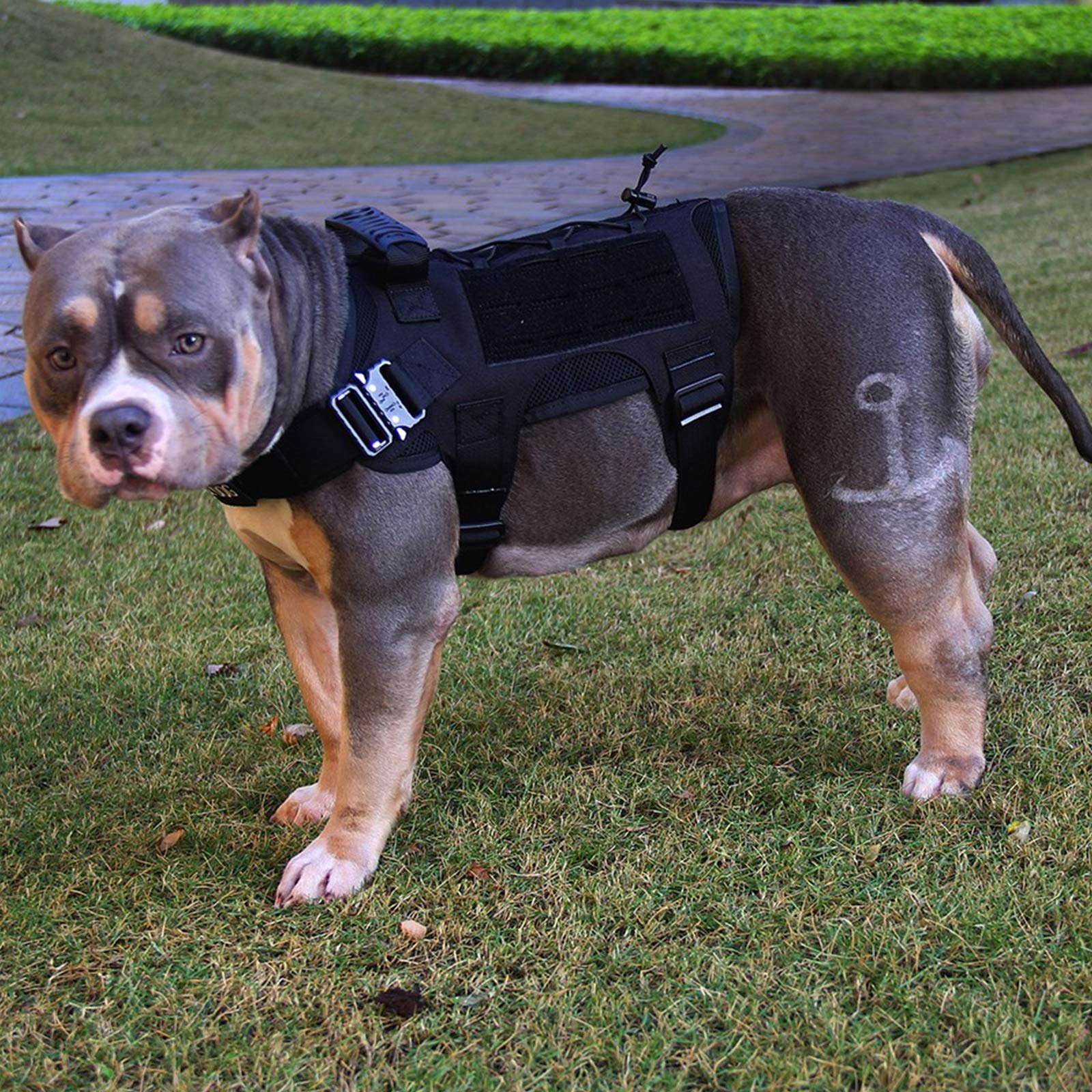 Arnés Perros Chaleco Táctico, Entrenamiento De Trabajo Molle Chaleco,MOLLE Compacta Arnés Nailon Bolsas Chaleco Abrigo para Mascota Senderismo, Caminar con Asa Y 2 Bolsos Desmontables,Negro,M
