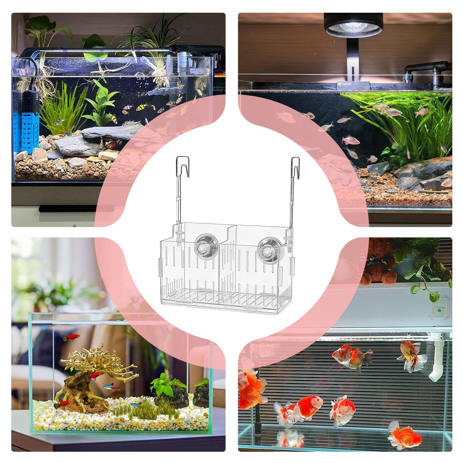 Supporto per piante per acquario, versatile per uso acquatico, 1 pezzo, supporto per piante per acquario, separatore per pesci d'acquario, facile da installare, per decorazione, mensola angolare