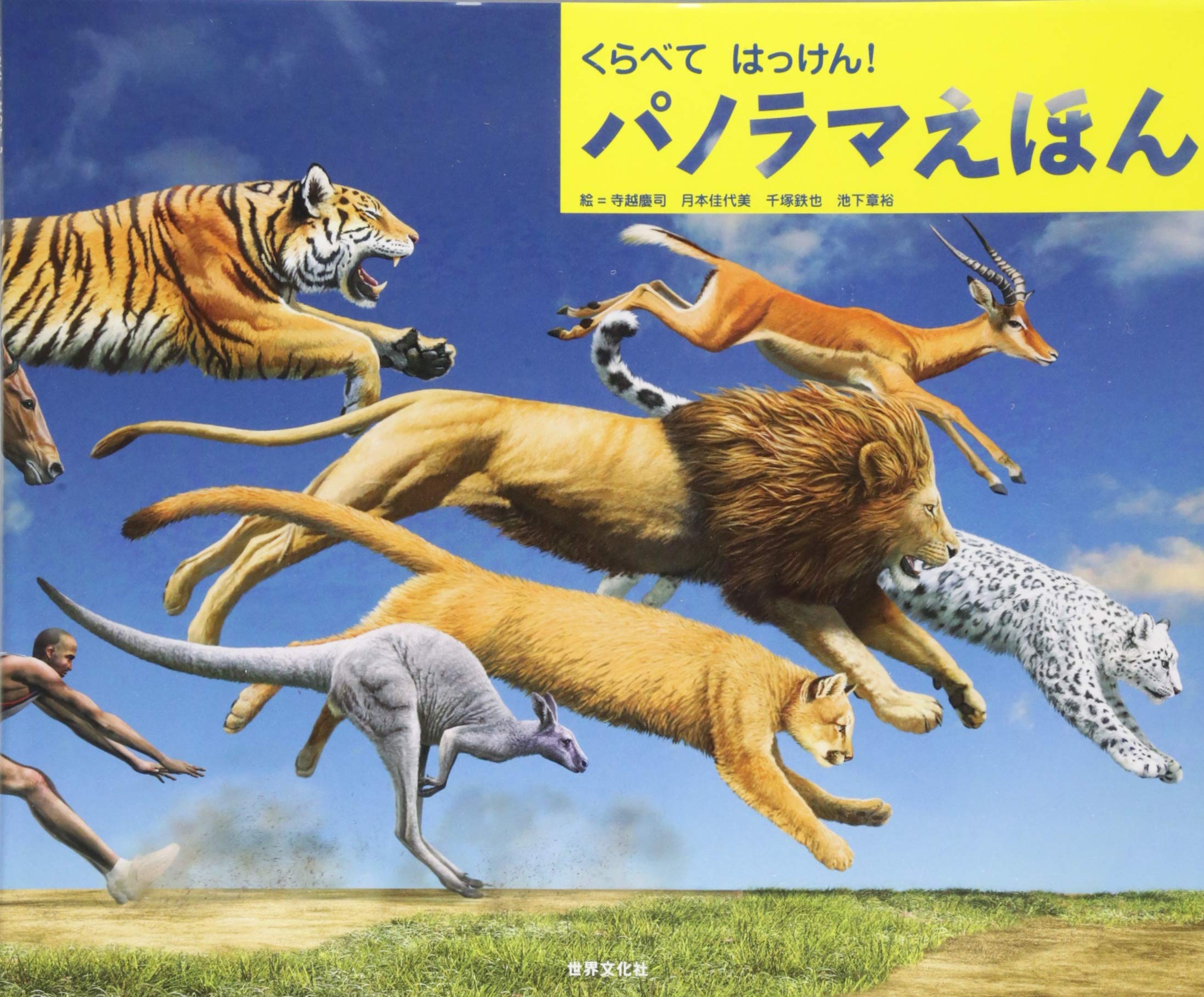 81-2EeME-bL.jpg