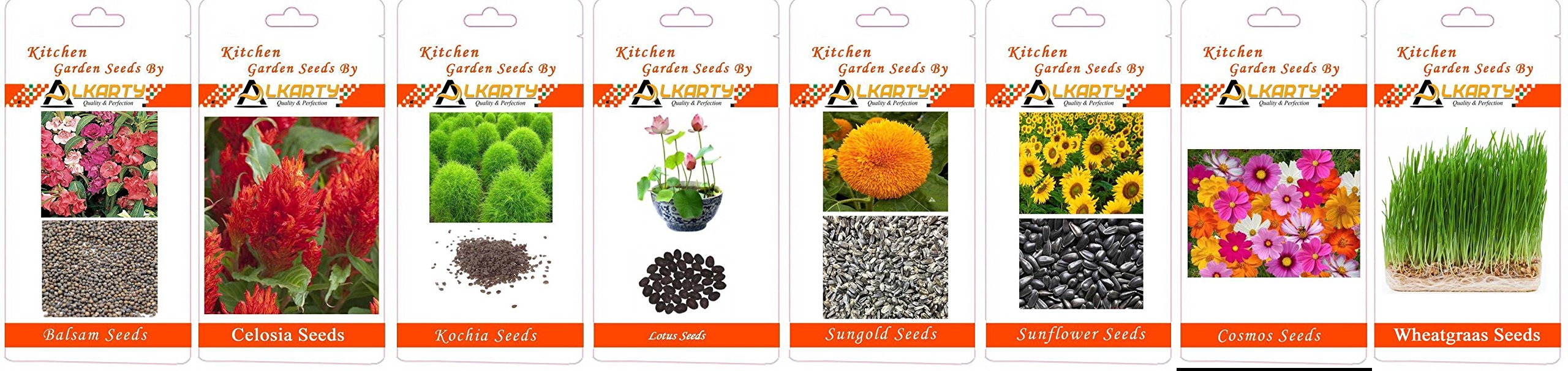 Rate Comparison Check Celosia kochia sunflower gomphrena latest price in india with ...