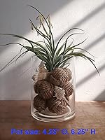 Vista 3 de 10 mini bolas decorativas Orbs para cuencos de centro de mesa, bolas decorativas de cuerda de Navidad para cuencos, relleno de jarrón, rellenos