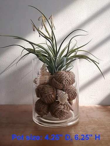 Miniatura 3 de 10 bolas decorativas Orbs para cuencos de centro de mesa, bolas decorativas de cuerda de Navidad para cuencos, relleno de jarrón, rellenos