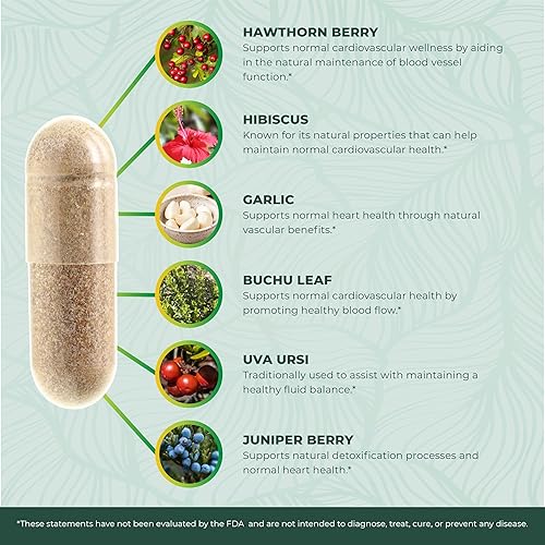 Miniatura 13 de PurePremium Suplementos de presión arterial con baya de espino, hibisco, ajo y vitamina B12 - Suplemento de óxido nítrico para la salud normal