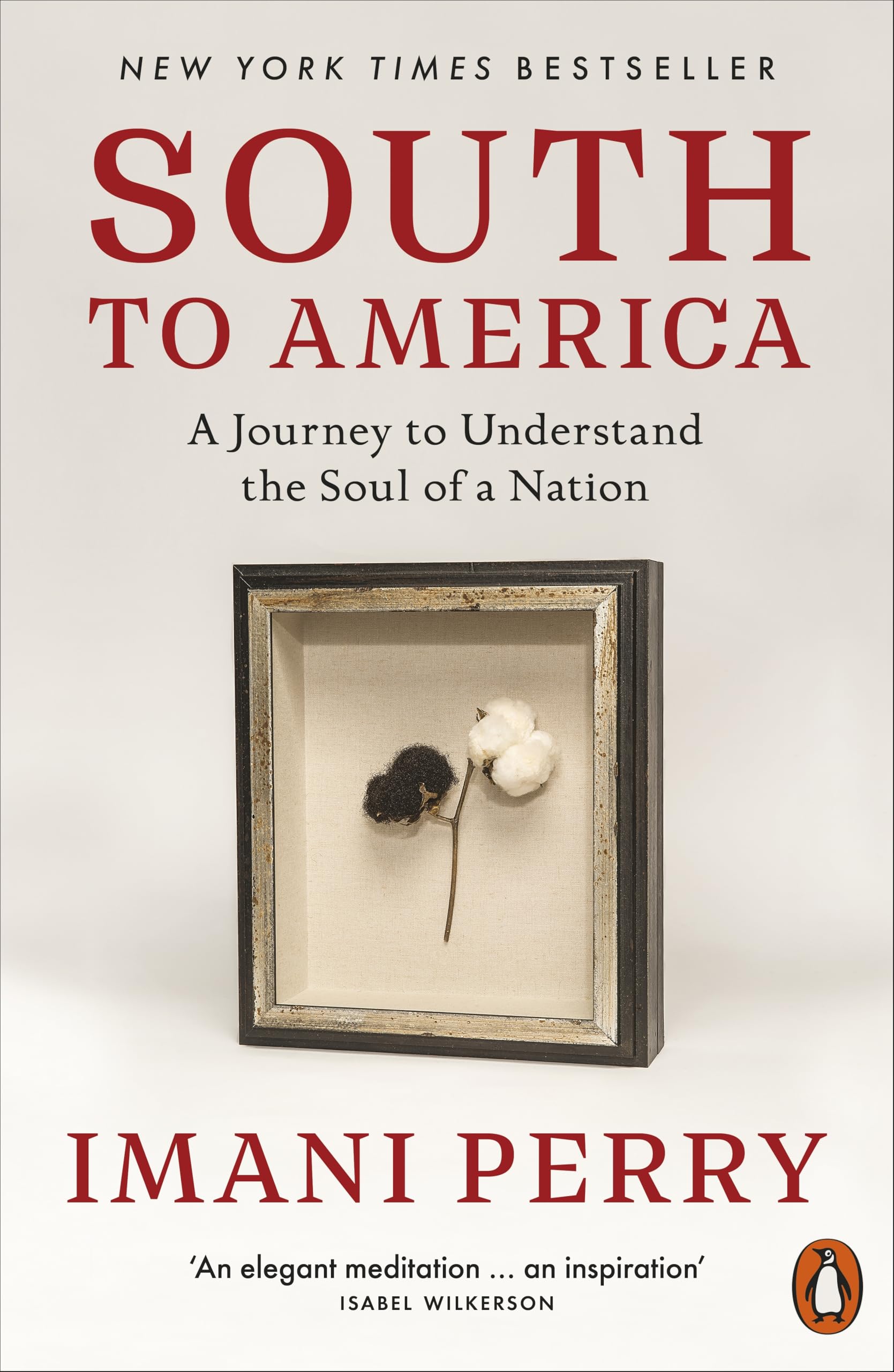 South to America: A Journey to Understand the Soul of a Nation