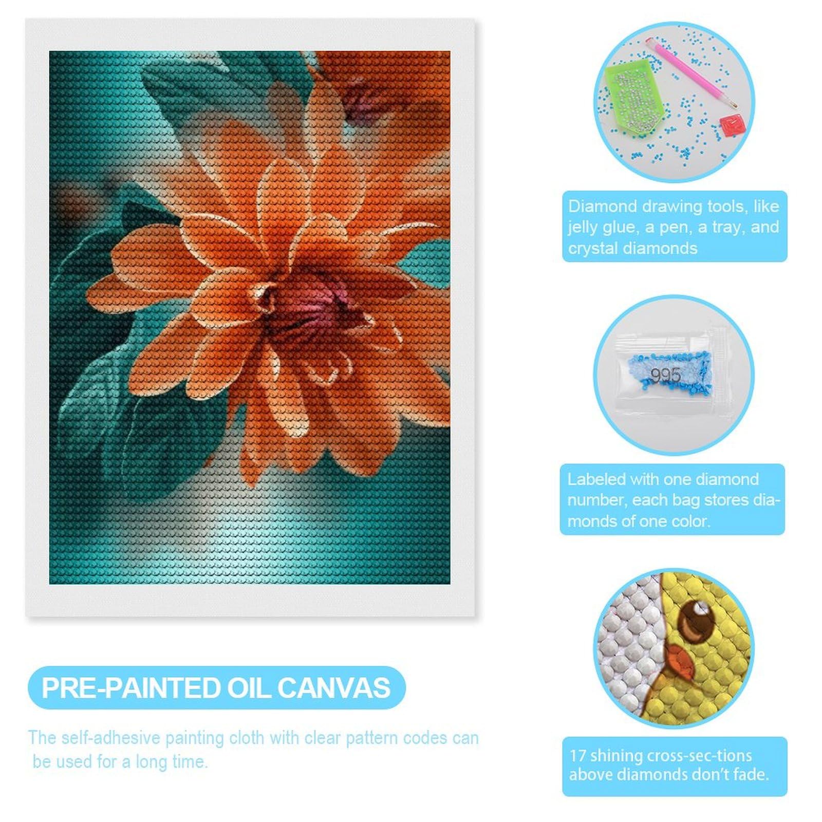 DIY 5D Diamant Malerei Set – 6 Landschaftsbilder 30x40 Cm – Mit Allem Zubehör Für Anfänger & Dekoration