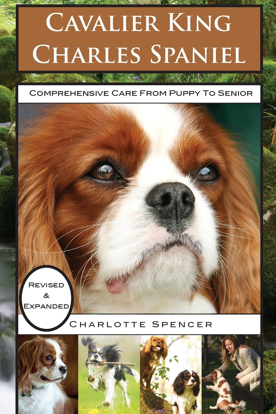 Cavalier King Charles Spaniel: REVISED & EXPANDED: Comprehensive Care from Puppy to Senior; Care, Health, Training, Behavior, Understanding, Grooming, Showing, Costs and much more