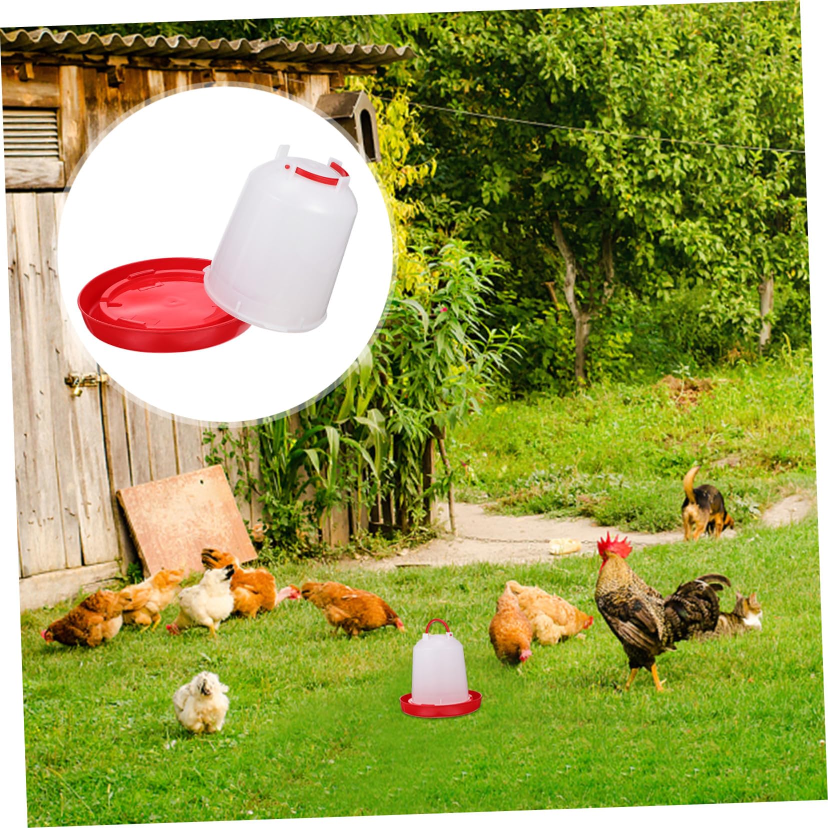 TOYANDONA Secchio Abbeveratoio per Pollame Automatica Ricarica Automatica Design Ispessito Capacità Adatto per Polli e Contenitore Staccabile e Facile da Pulire