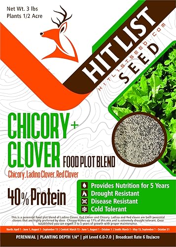 Hit List Seed Mezcla de trébol y achicoria perenne de ciervos y trébol 3 libras 12 acre achicoria trébol ladino trébol rojo cola blanca cola negra