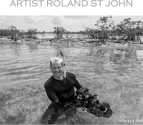 Miniatura 9 de Llavero de tiburón ballena para hombres y mujeres, llavero de tiburón ballena, regalos para amantes de los tiburones, llavero de peltre realista,