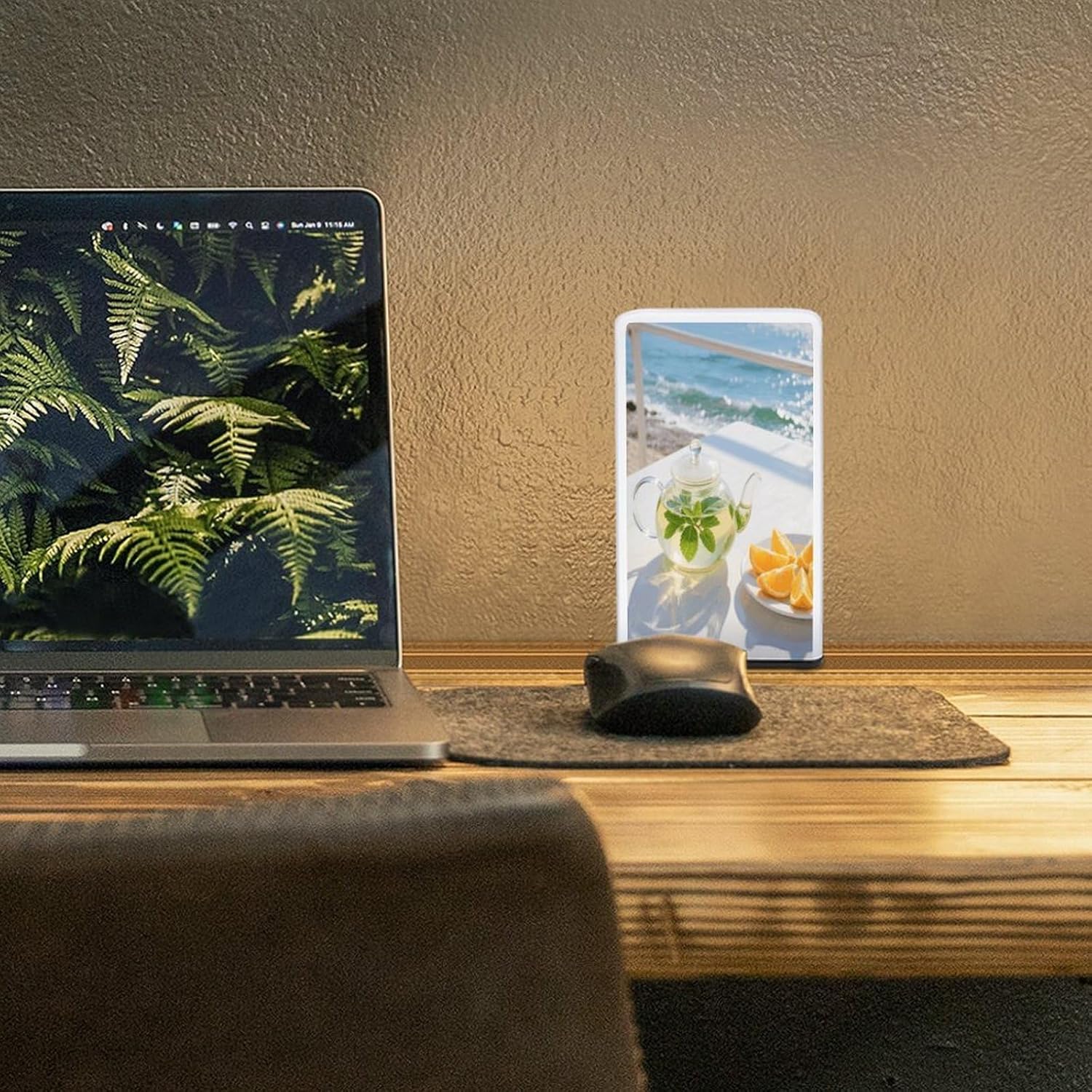 Dimmable Portable Desk Lamp Reading Table Lamp Oranges and Tea Bedside Night Light Battery Powered for Home Office Gift