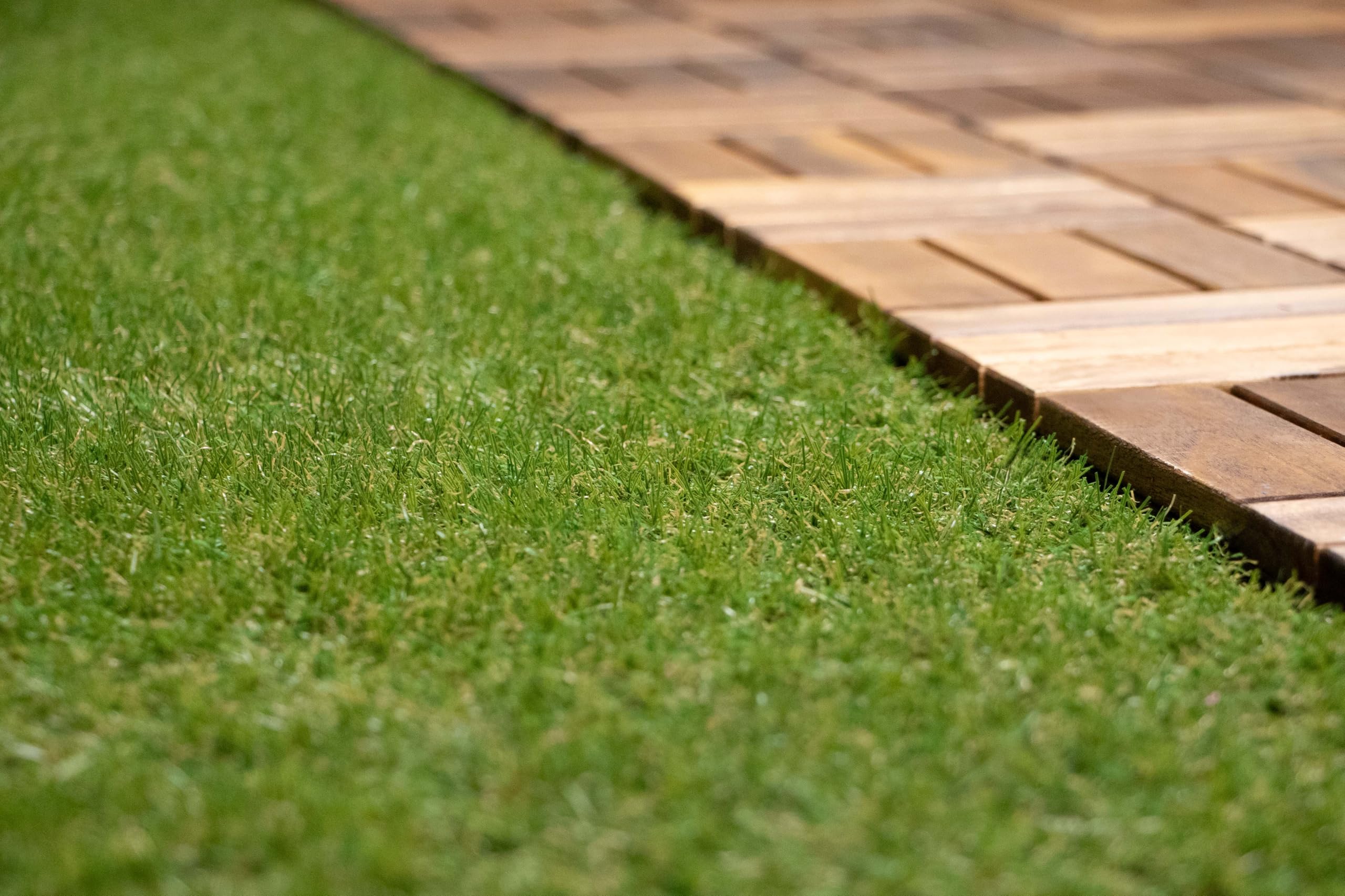 Primaflor Kunstrasen Rio | 2,00m x 6,00m | Rasen-Teppich 37mm für Garten, Balkon & Terrasse | Outdoor Bodenbelag | Wasserdurchlässig | UV-stabil | naturgetreu | kinderfreundlich