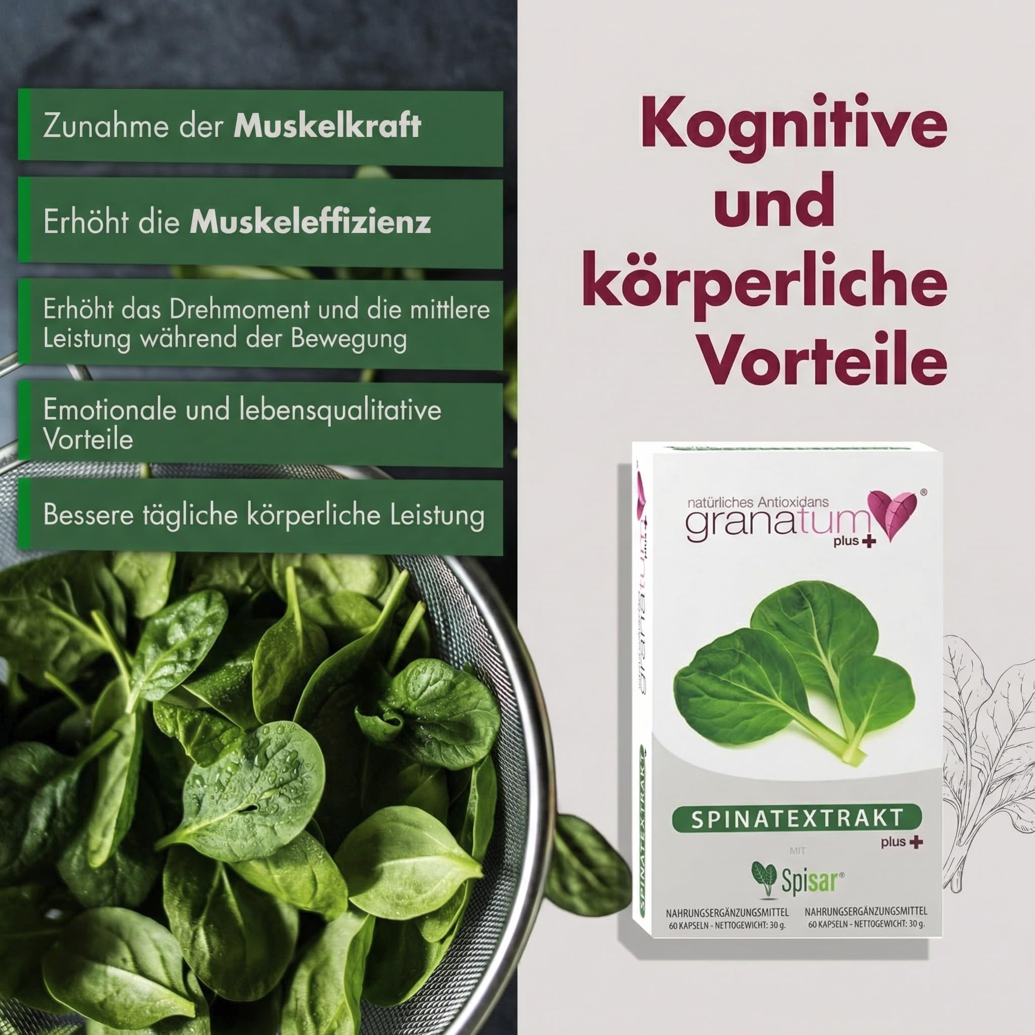 Granatum Plus - Spinatextrakt - 20-Hydroxyecdysone - Nahrungsergänzungsmittel - Stoffwechselwohlbefinden - Sportliche Leistung - Muskelmasseaufbau - 1 Box 60 Kapseln