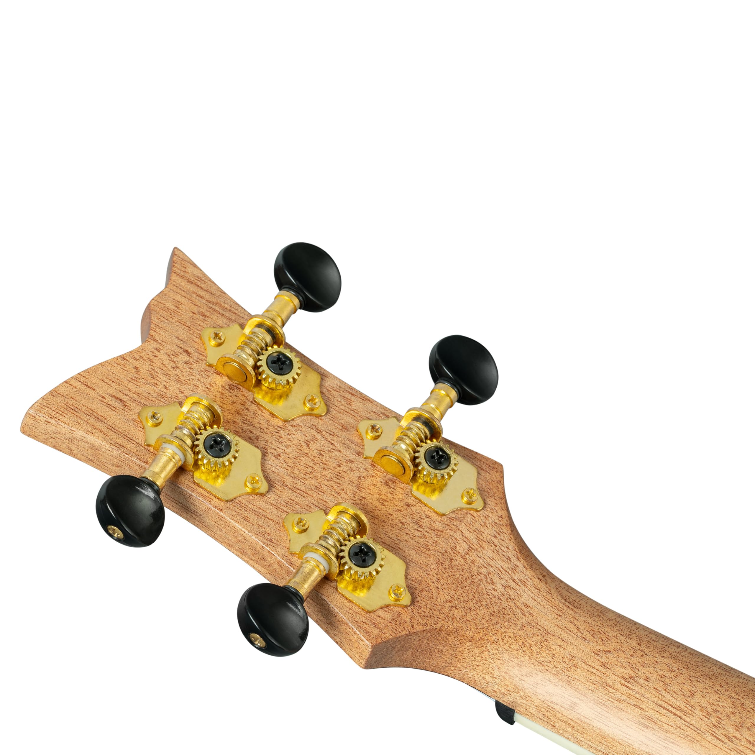 Ortega Guitars Ukulele Tenore Acustico – Ghost Series – Gig Bag Inclusa – Abete Rosso, Grey (RUGH-PLT)