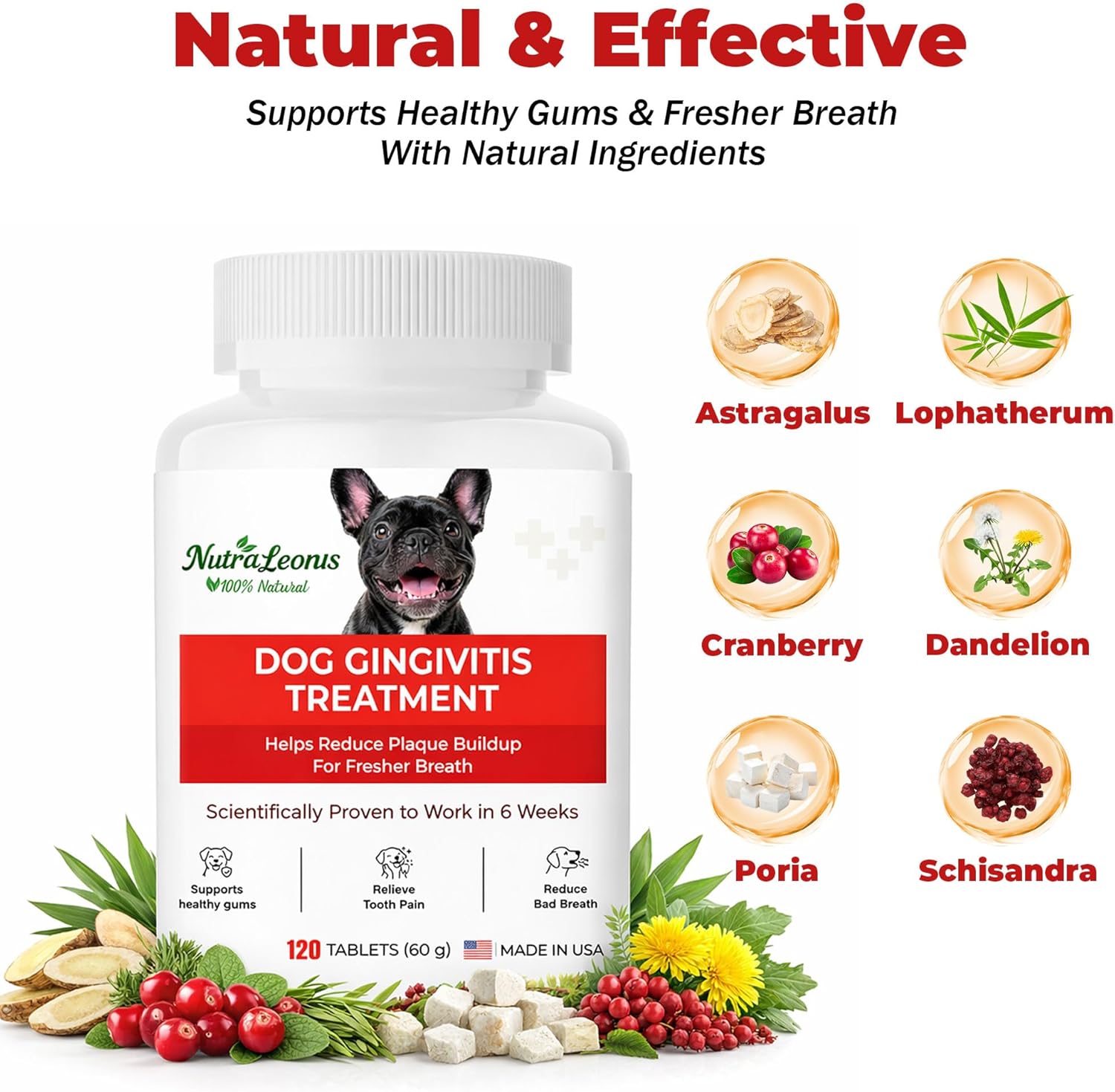 Dog Dental Care – Relieves Gingivitis – Inhibits Plaque and Tartar Buildup, Protects Gum Health, and Relieves Bad Breath and Bleeding Gums, Natural Plant Extracts, 120 Easy-to-Swallow Tablets