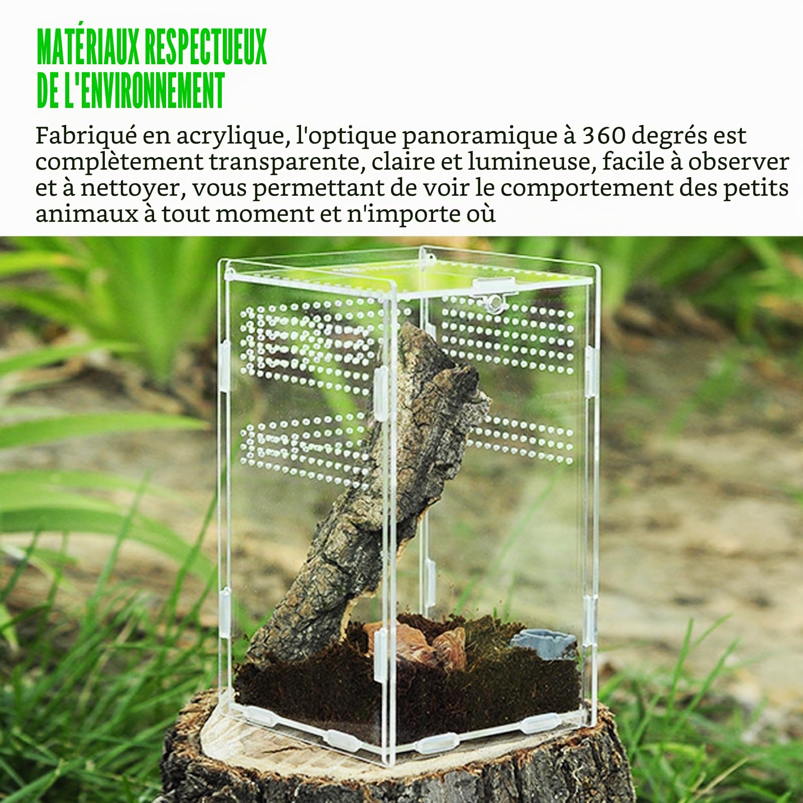 Terrarium à escargots en acrylique à 360° : Nizirioo 12 x 12 x 20 cm - Mini terrarium en acrylique transparent - Mini terrarium pour Spide, Scorpion, Mère religieuse, reptile