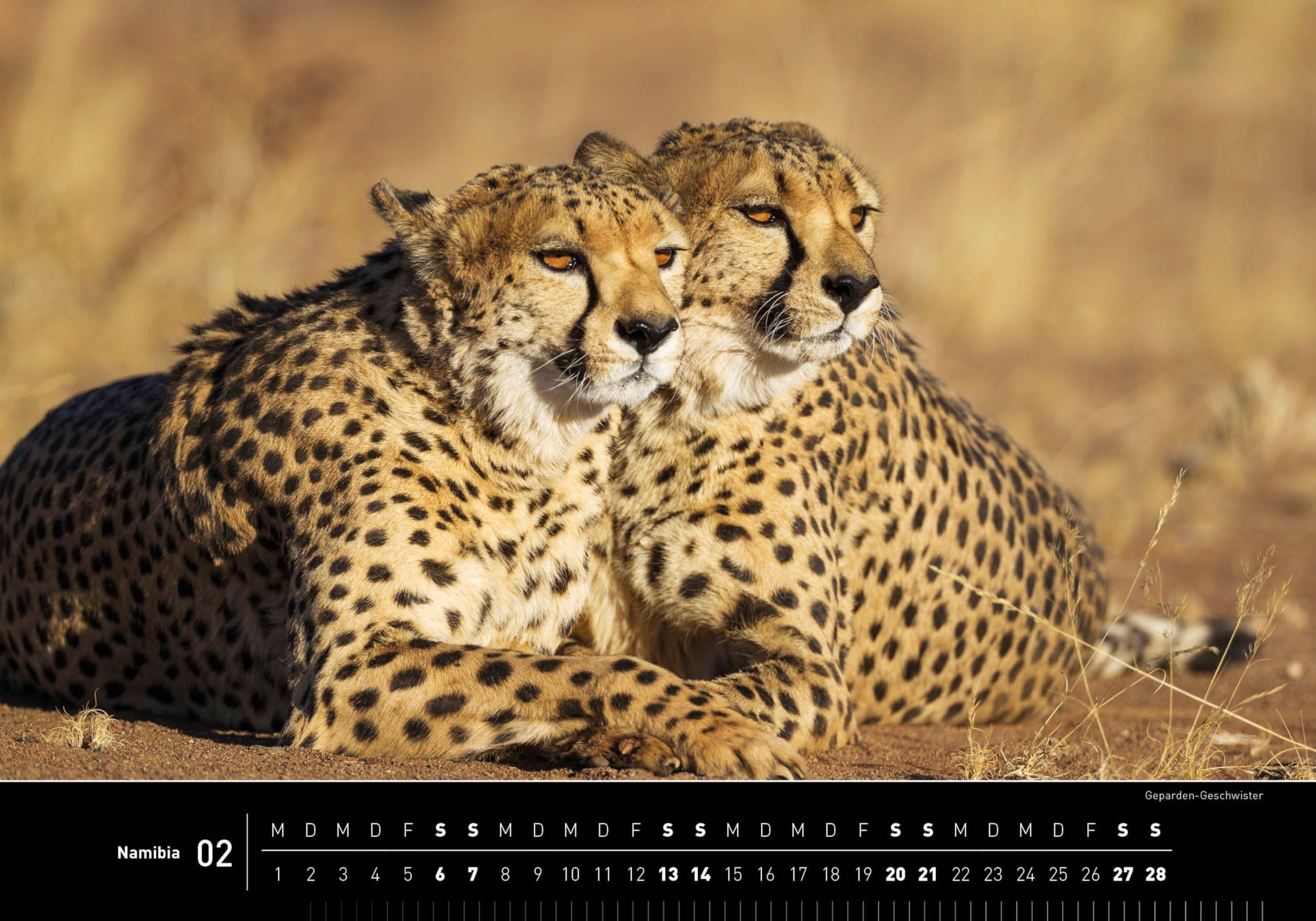 Namibia Premiumkalender 2027