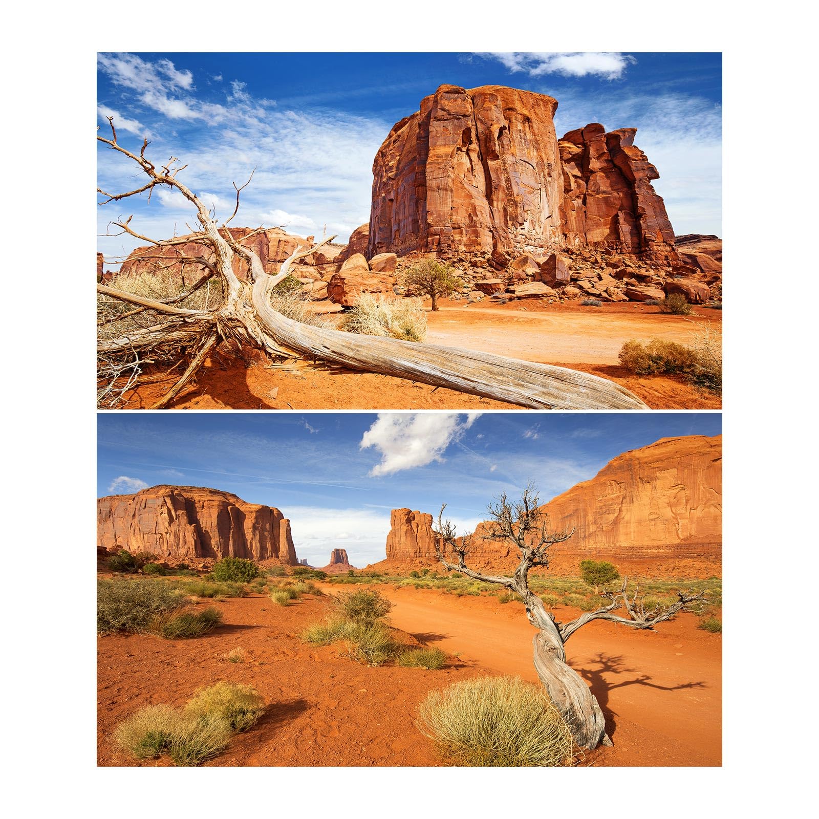 2 Packs Desert Reptile Tank Background Orange Deserts Sandstone Aquarium Background Rock Formation Mountains Gobi Reptile Enclosure Backgrounds Dead Trees Barren Thorns Fish Tank Backgrounds 30x18in