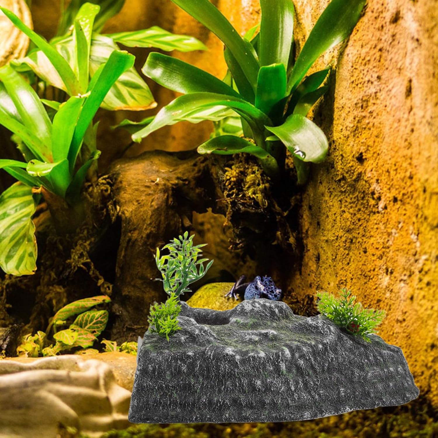 Turtle Basking Platform Resin Rock Climbing Ramp and Floating Island