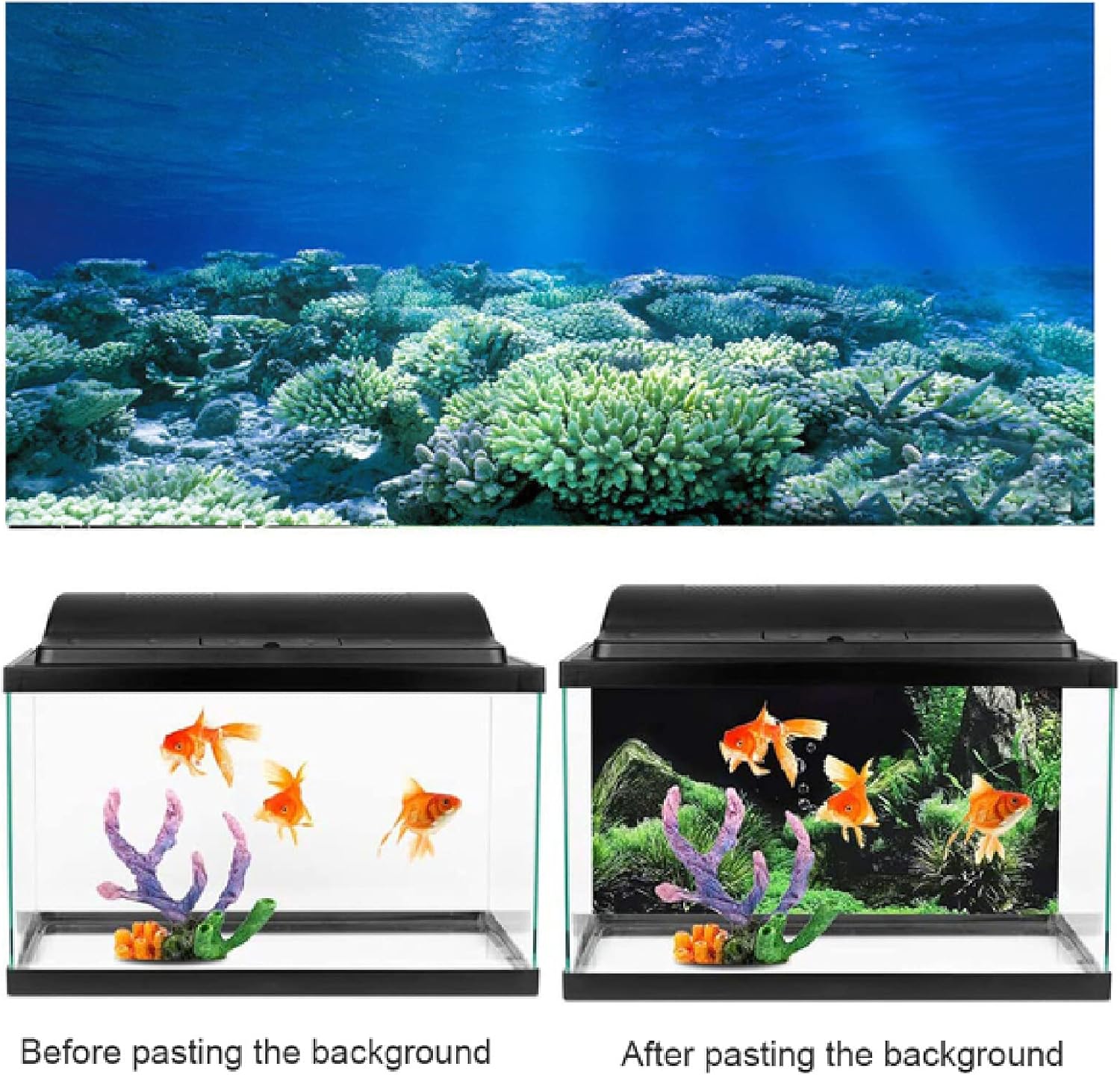 Amazon Co Jp 水族館の背景ステッカー 青い空の壁紙水槽の装飾的な写真水中の背景画像の装飾 48 X24 Ns 48 X24 122x60cm ペット用品