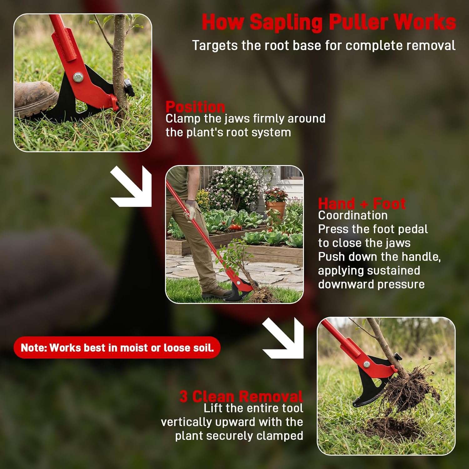 Anrain Sapling Puller Tool, Heavy Duty Stand Up Tree Sapling Remover for Woody Stems 1/4″ to 2″, Reinforced Steel Jaws, Anti-Slip Handle, Land Clearing for Garden Yard Farm
