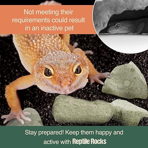 Miniatura 2 de Meric Rocas minerales para leopardo y geckos crestados, enriquecimiento de reptiles, decoración de terrario, con lima, calcio y oligoelementos, 2