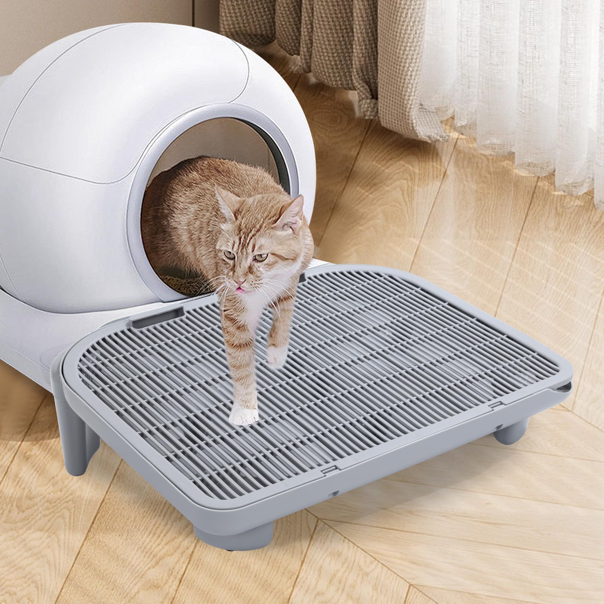 Hammer Ramp Litter Tracking Solution Arm And Hammer Cat Litter Elevated Litter Box ...