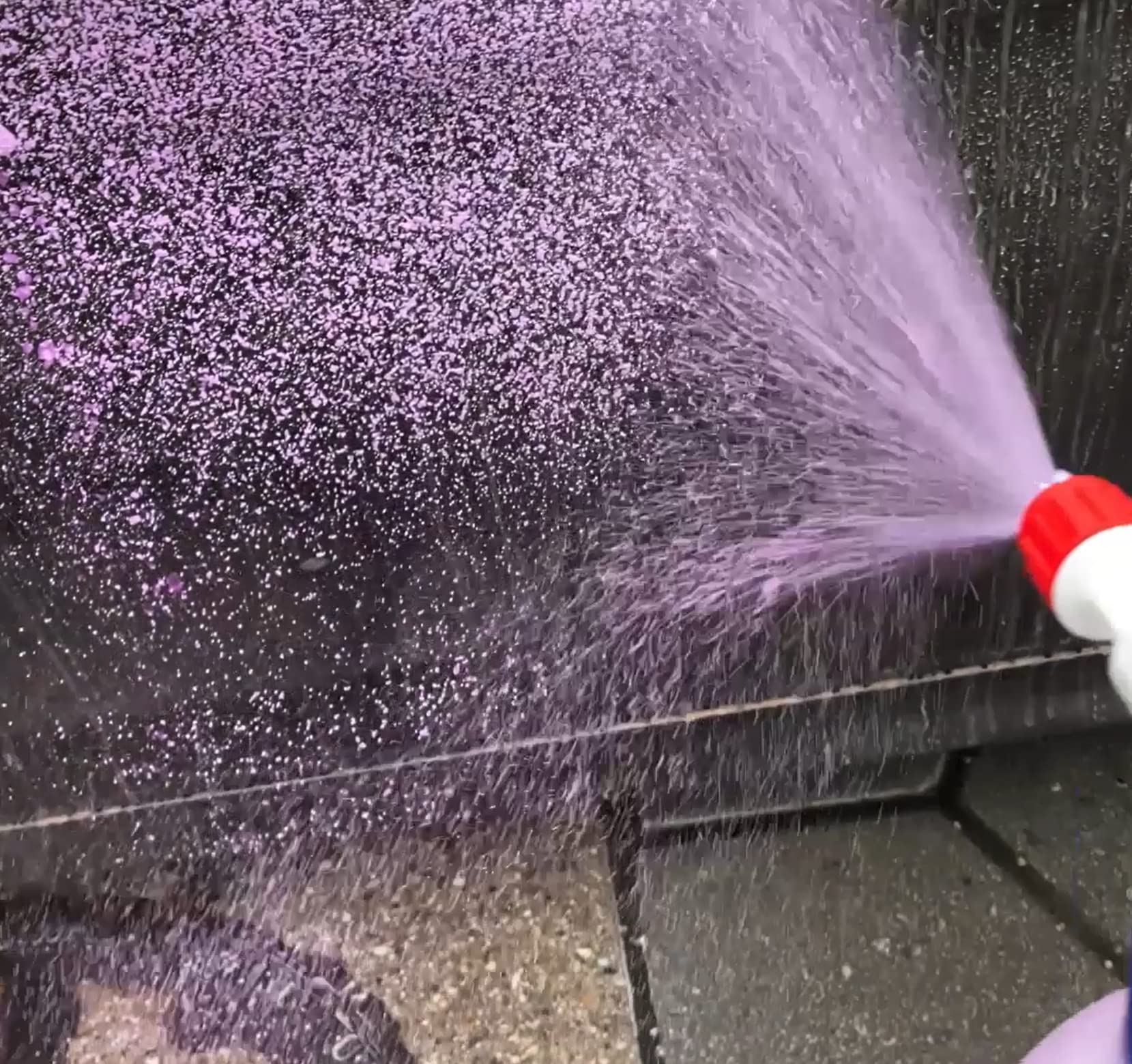 Car Sense Snow Foam pinker Schaum 3x0,5L gründlicher Auto Schaumreiniger I Perfekt geeignet für eine effektive Vorwäsche, dichter gut riechender Schaum