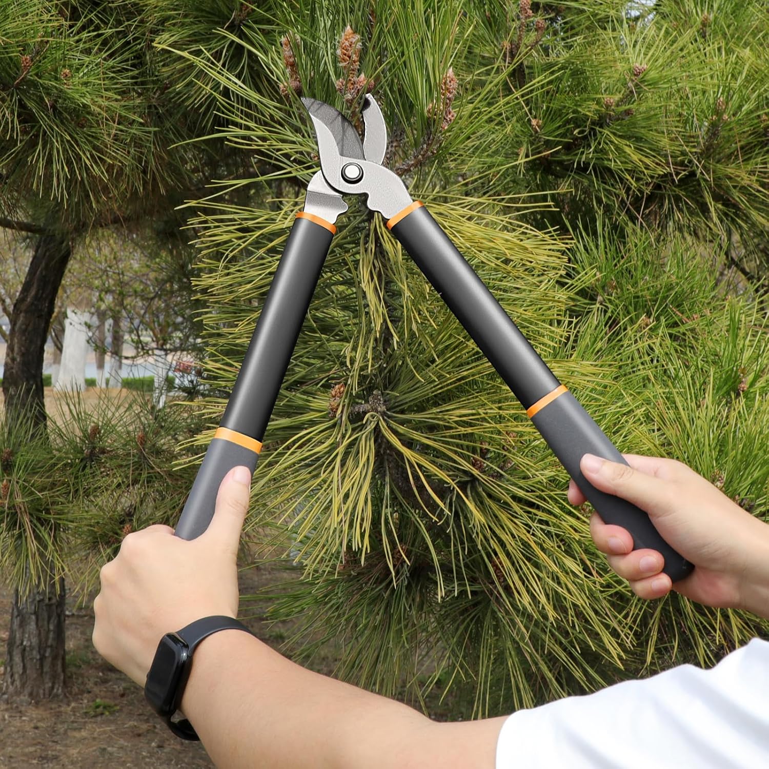 AIARJ 17'' Bypass Loppers for Tree Trimming,Branch Cutter up to 1.6" Cut Capacity,Sharp Steel Tree Pruner,Chops Thick Branches with Ease,Tree Trimmer for Gardening