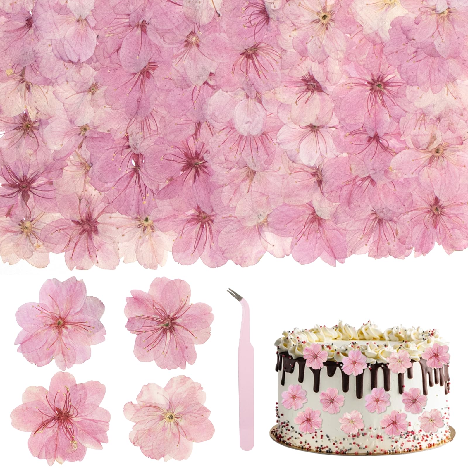 Yuaerbuo 55 Pcs Natural Dried Pressed Flower, Non Edible Flowers Cake Decorations Mix of Pink Sakura Pressed Flowers for Cakes/Cupcakes Toppers Cocktails Jewellery Making DIY Art Crafts