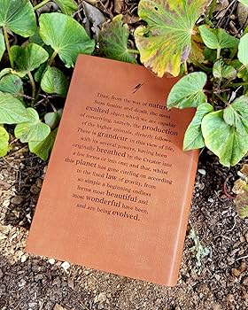 ダーウィン 種の起源C.Darwin On Origin of Species Amazon | The Origin of Species: 150th Anniversary Edition