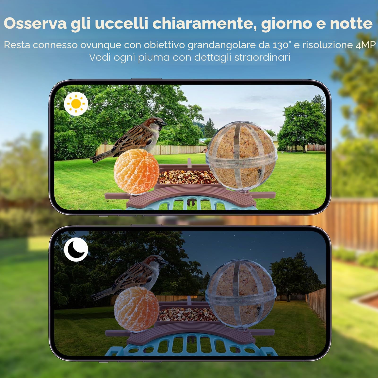 Casetta per uccelli con fotocamera da 4 MP, mangiatoia per uccelli a energia solare, mangiatoia per uccelli, registrazione video/foto, identificazione AI, rilevamento del movimento, notifica