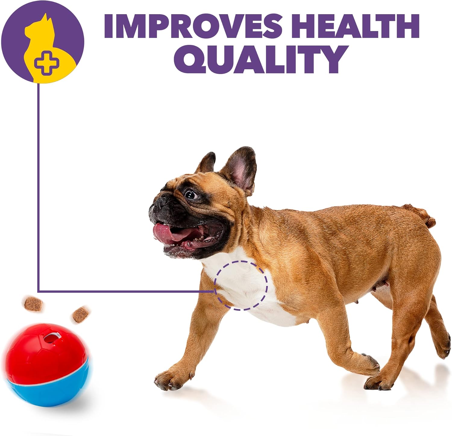 AMICUS - Aqua First USB Water Fountain for Pets: Automatic Drinking Fountain - Ergonomic Design, Portable - White + Treat Dispensing Dog Toys Crazy Ball: Interactive Enrichment Toy - 100g/3.5oz