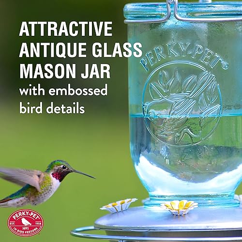 Miniatura 3 de Perky-Pet 785-1SR - Comedero de vidrio vintage para colibríes decoración de jardín al aire libre capacidad de 32 onzas