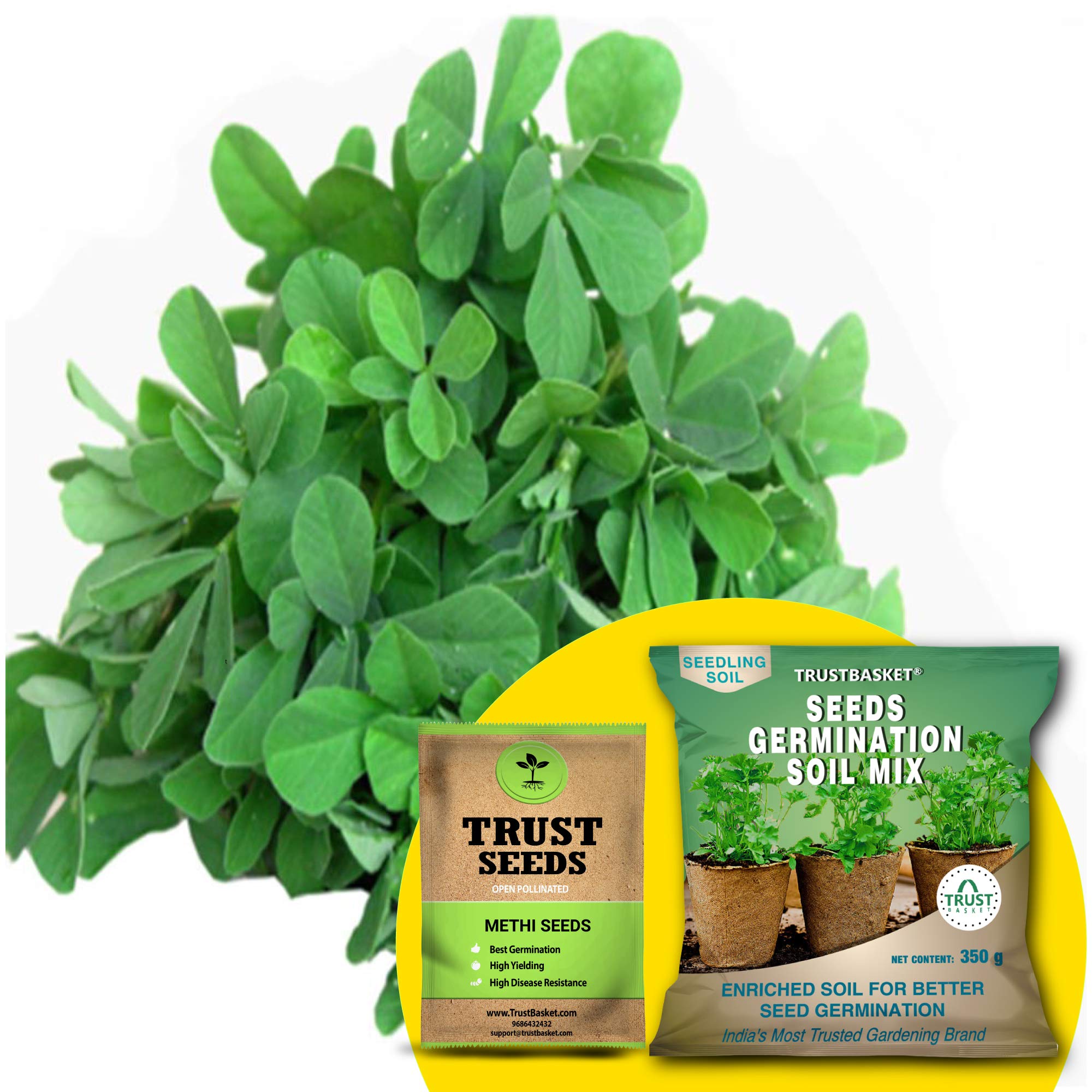 TrustBasket Premium Methi (OP/Desi) Seeds with Free Germination Potting Soil Mix | Sow and Grow Fresh Healthy Seed in Your Garden Perfect for Home & Terrace Gardening