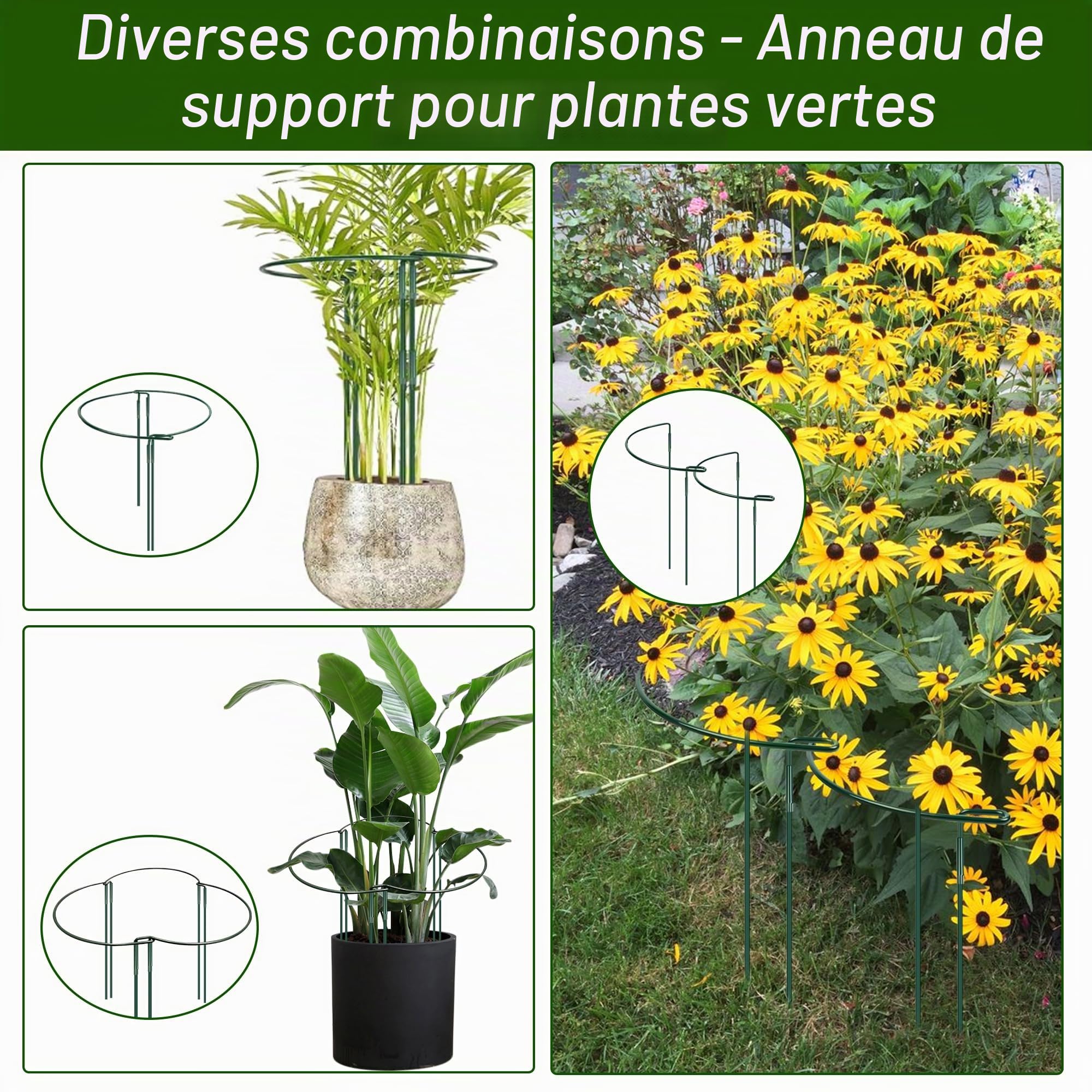 Lot de 10 supports de plantes semi-circulaires en métal - 40 x 25 cm - Support pour plantes en pot, fleurs, légumes
