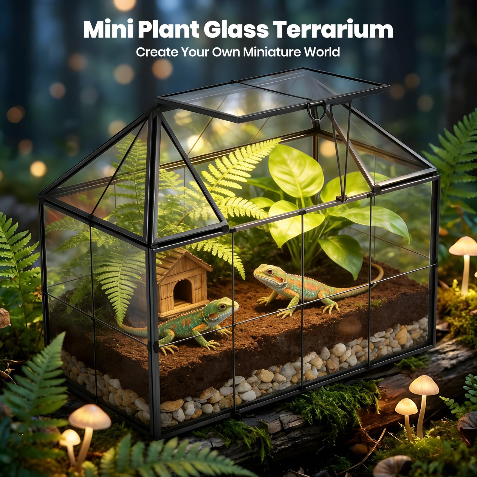 Mini serre rebord de fenêtre en verre pour plantes terrarium petit jardin en bouteille DIY