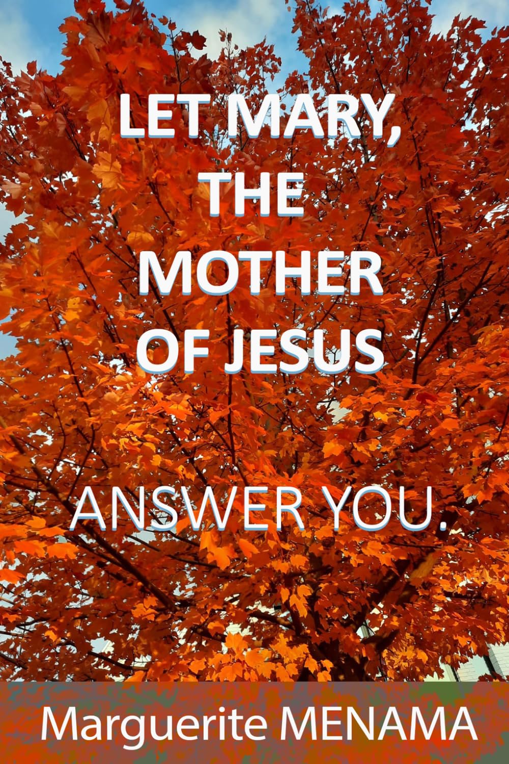 LET MARY, THE MOTHER OF JESUS ANSWER YOU.
