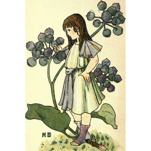 The Dumpy Books for Children A Flower for